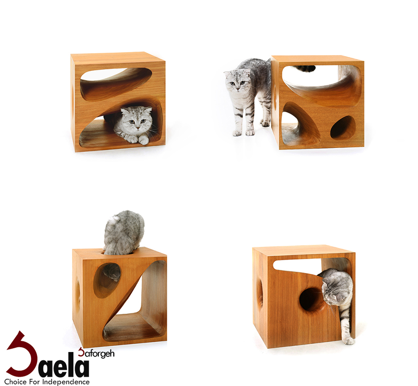 مکعب گربه ها- صافورژه