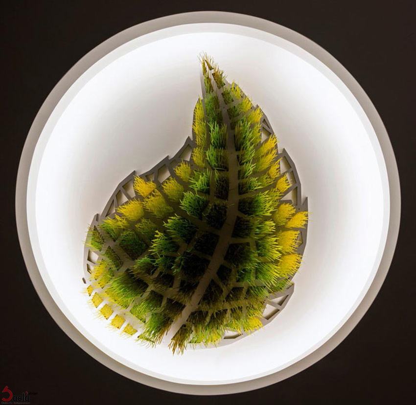 سقف کاذب - صافورژه