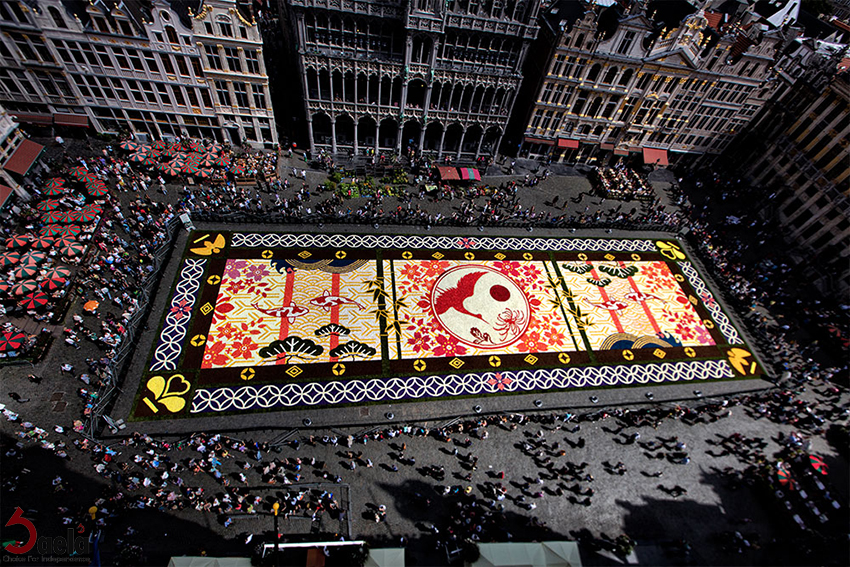 'گلفرش-صافورژه