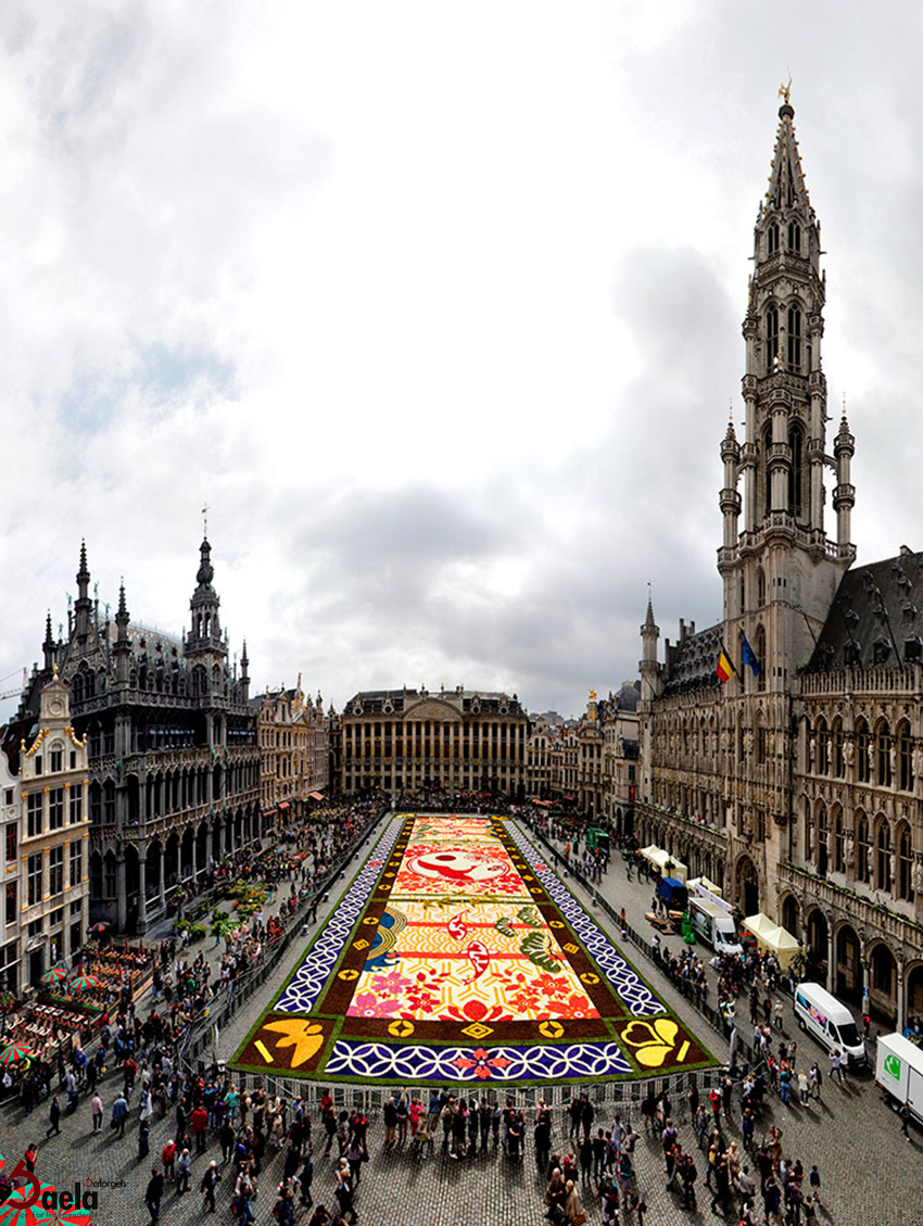 'گلفرش-صافورژه