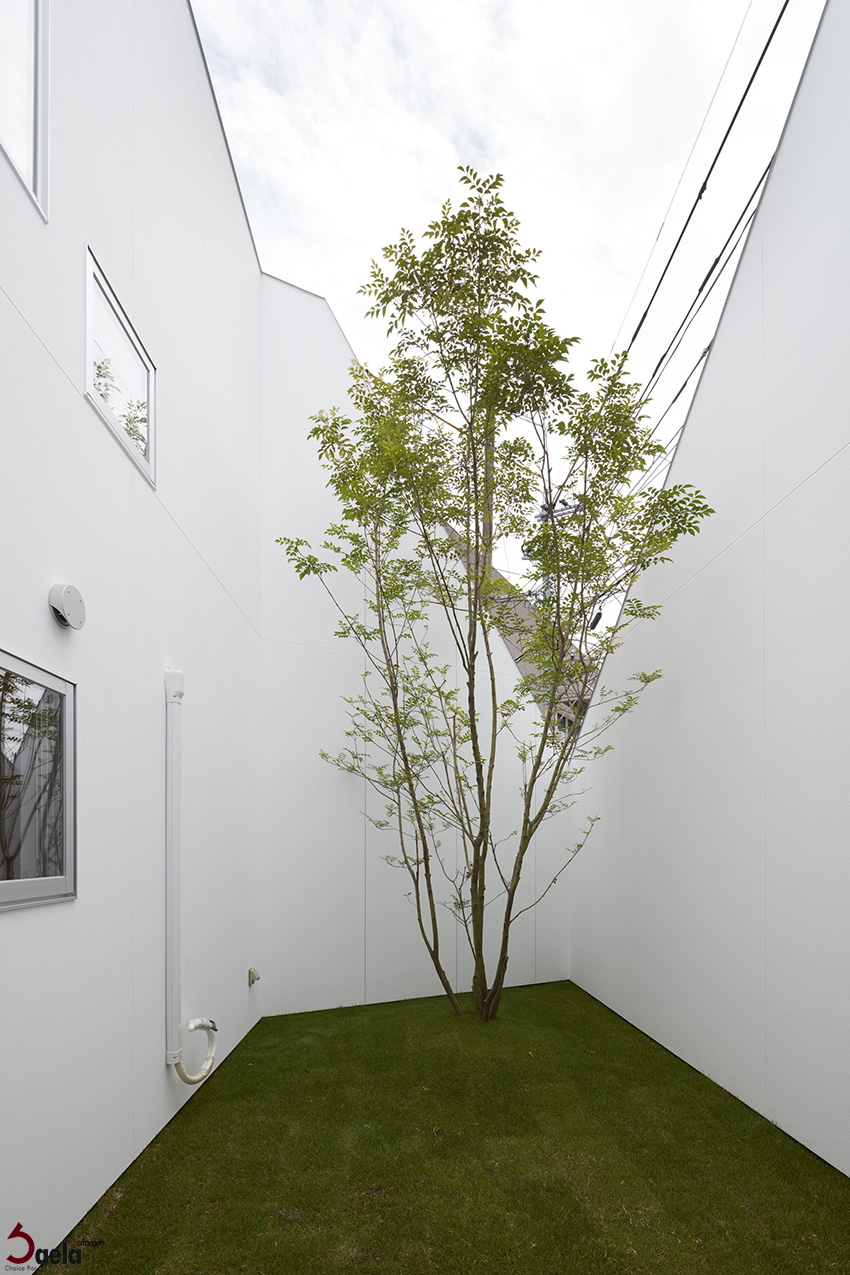 طراحی منزل مسکونی - صافورژه