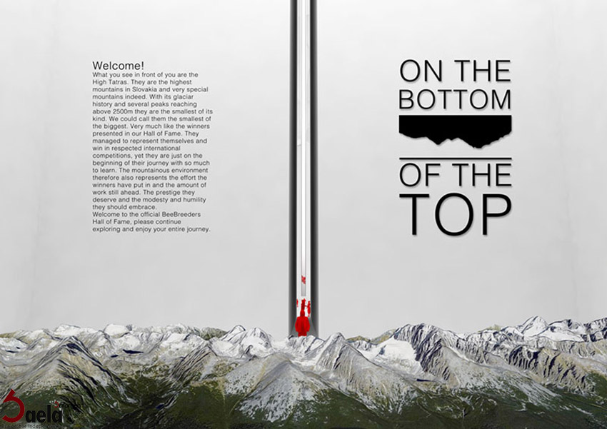 واقعیت مجازی - صافورژه