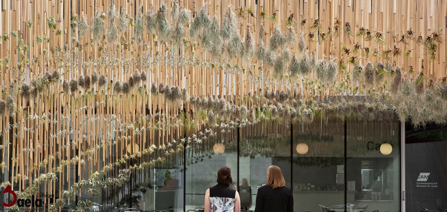 باغ هوایی معلق در موزه هنر معاصر لوئیس