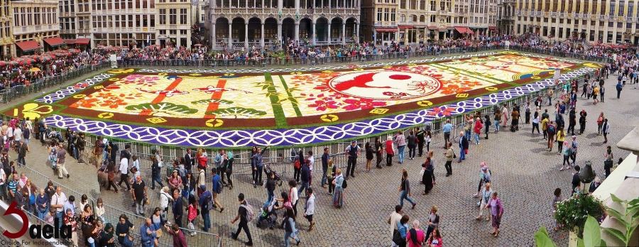 طراحی فرش گلها با استفاده از 600.000 شکوفه